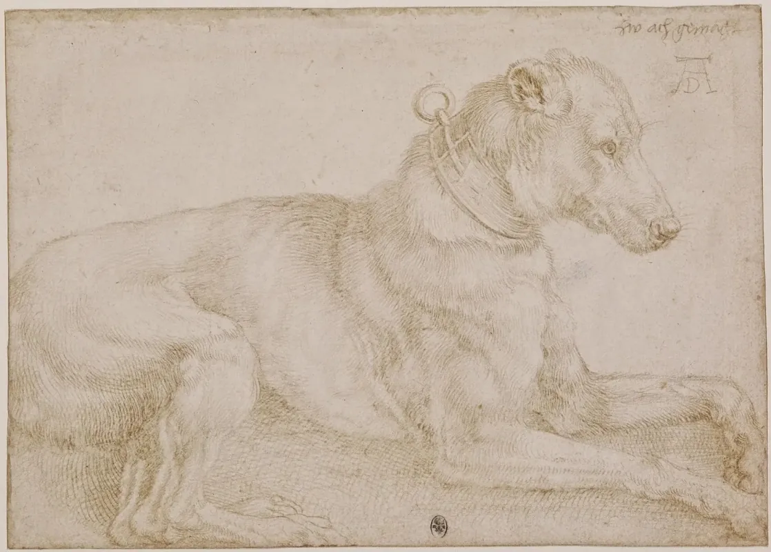 Альбрехт Дюрер "Отдыхающая собака", 1521 г.