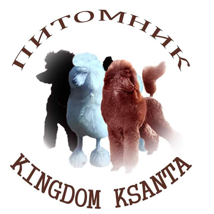 Питомник КИНГДОМ КСАНТА / KINGDOM KSANTA