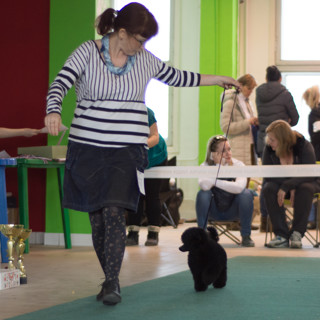 Питомник ЯХОНТ АМУЛЕТ / YAKHONT AMULET