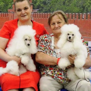 Питомник ИЗ БЕЛОЙ СТАИ / IZ BELOY STAI