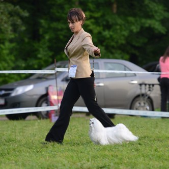 Питомник ЭЛКЕЙТ'С ШОУ / ELKETE'S SHOW