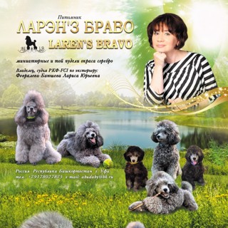 Питомник ЛАРЭН'З БРАВО / LAREN’S BRAVO