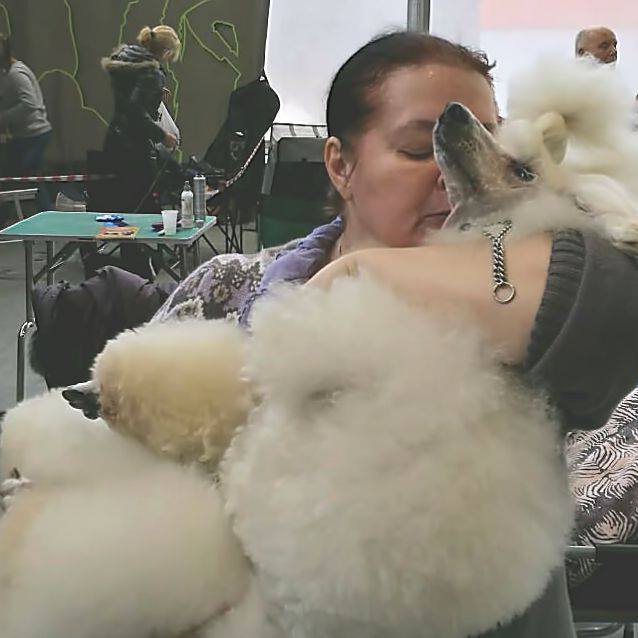 Питомник МОЯ ВАРИАЦИЯ / MOJA VARIATSIJA