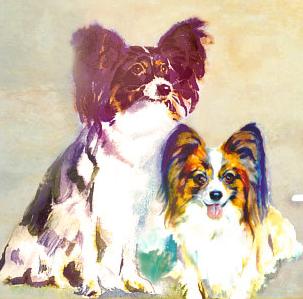 Питомник ГРЕЙСРОСС / GRACEROSS